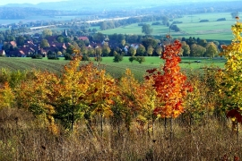 Herbst klein
